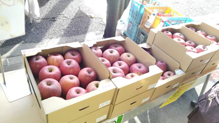 りんご・干し柿販売